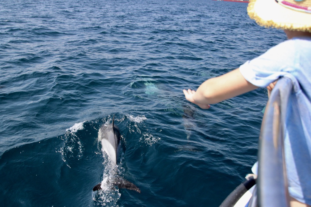 OKpiEELrQGOiEdVmt%Wg%g_thumb_2ae