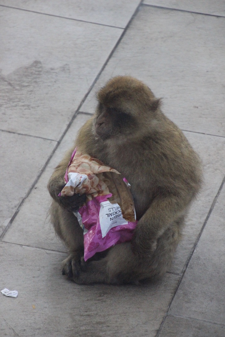 UNADJUSTEDNONRAW_thumb_32d